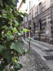 IMG_0884-20-07-18-04-16